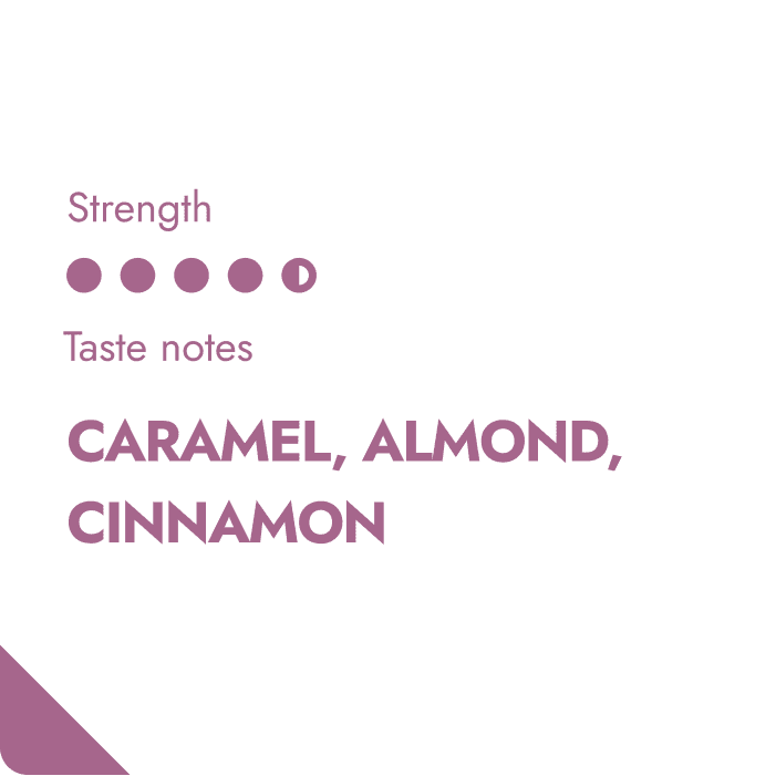 MEXICO SPECIALTY COFFEE BEANS